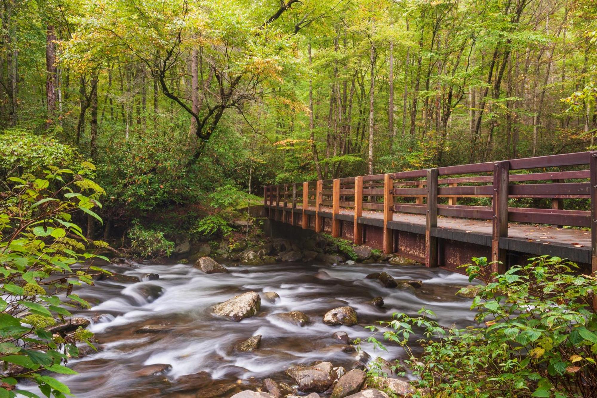 Forever Yours, Hot Tub, 1089 Of Free Attraction Tickets For Each Paid Day, Dollywood And More Pigeon Forge Buitenkant foto